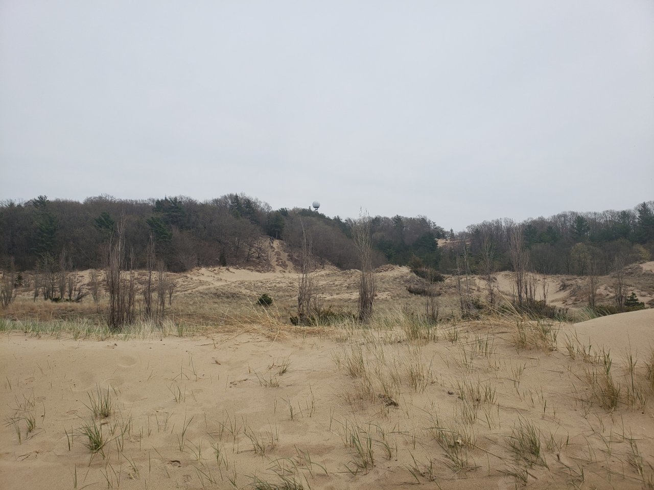 20230421_155613.jpg