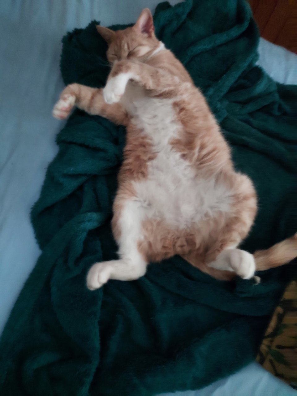 20230423_115727.jpg