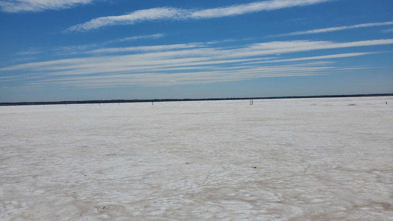 20230423_123147.jpg