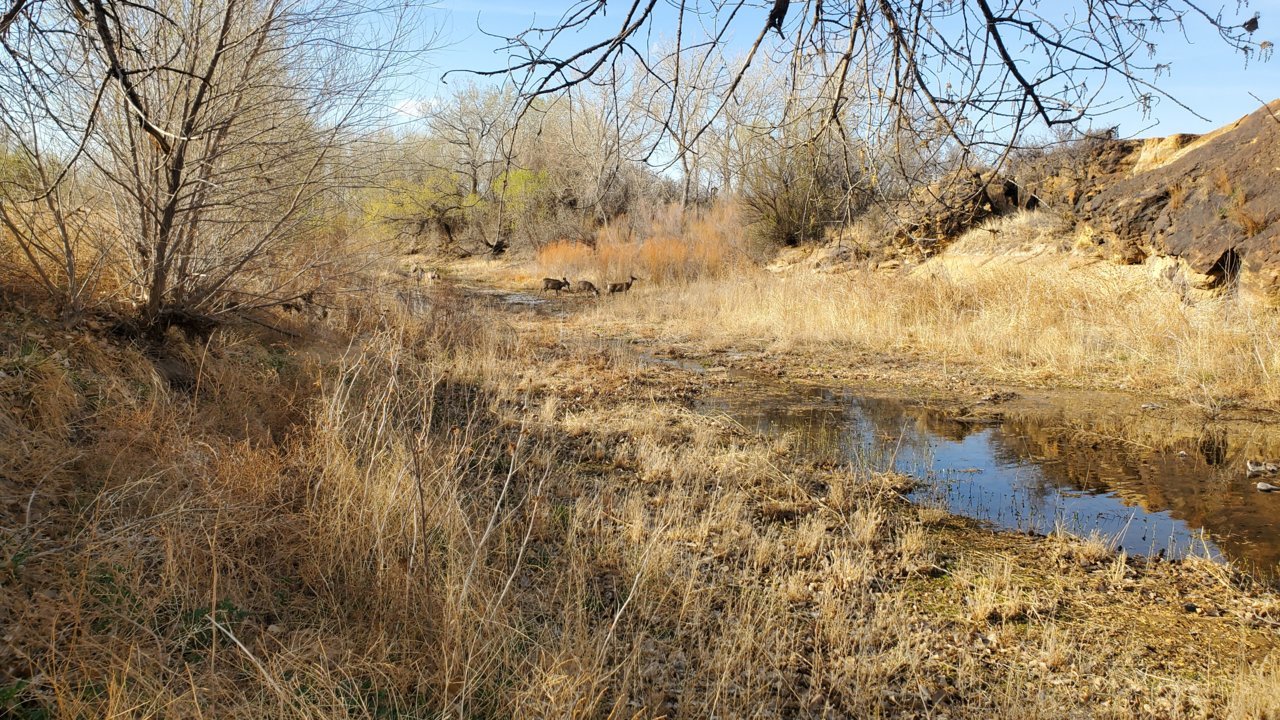 20230423_184237.jpg