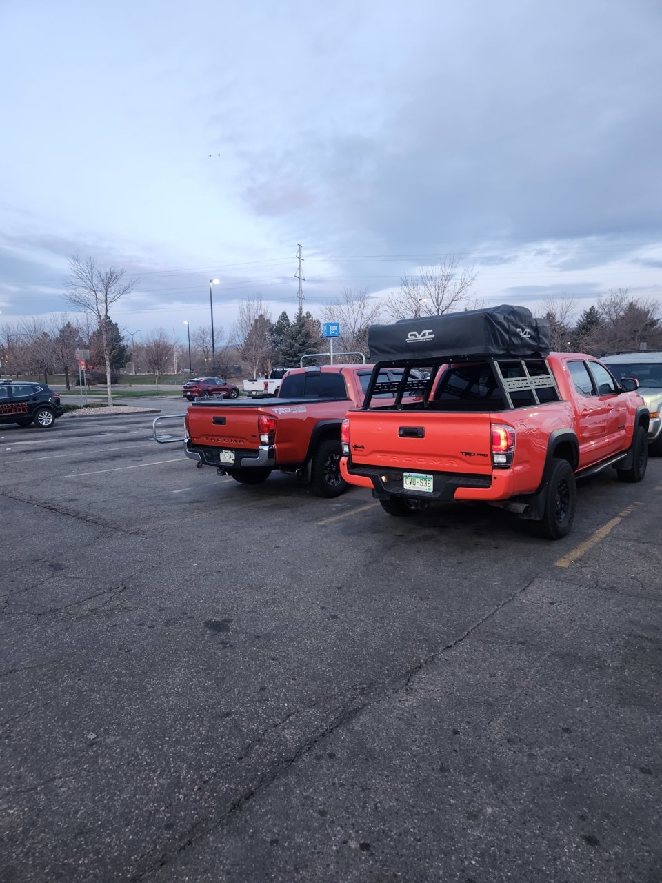 20230424_060624.jpg