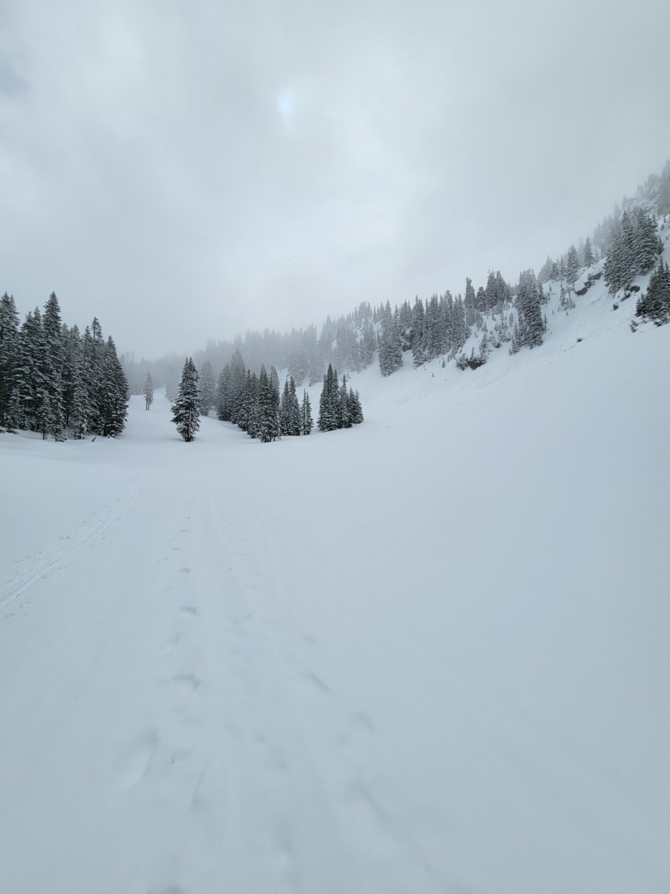 20230424_112945.jpg