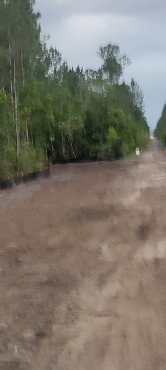 20230424_195040.jpg