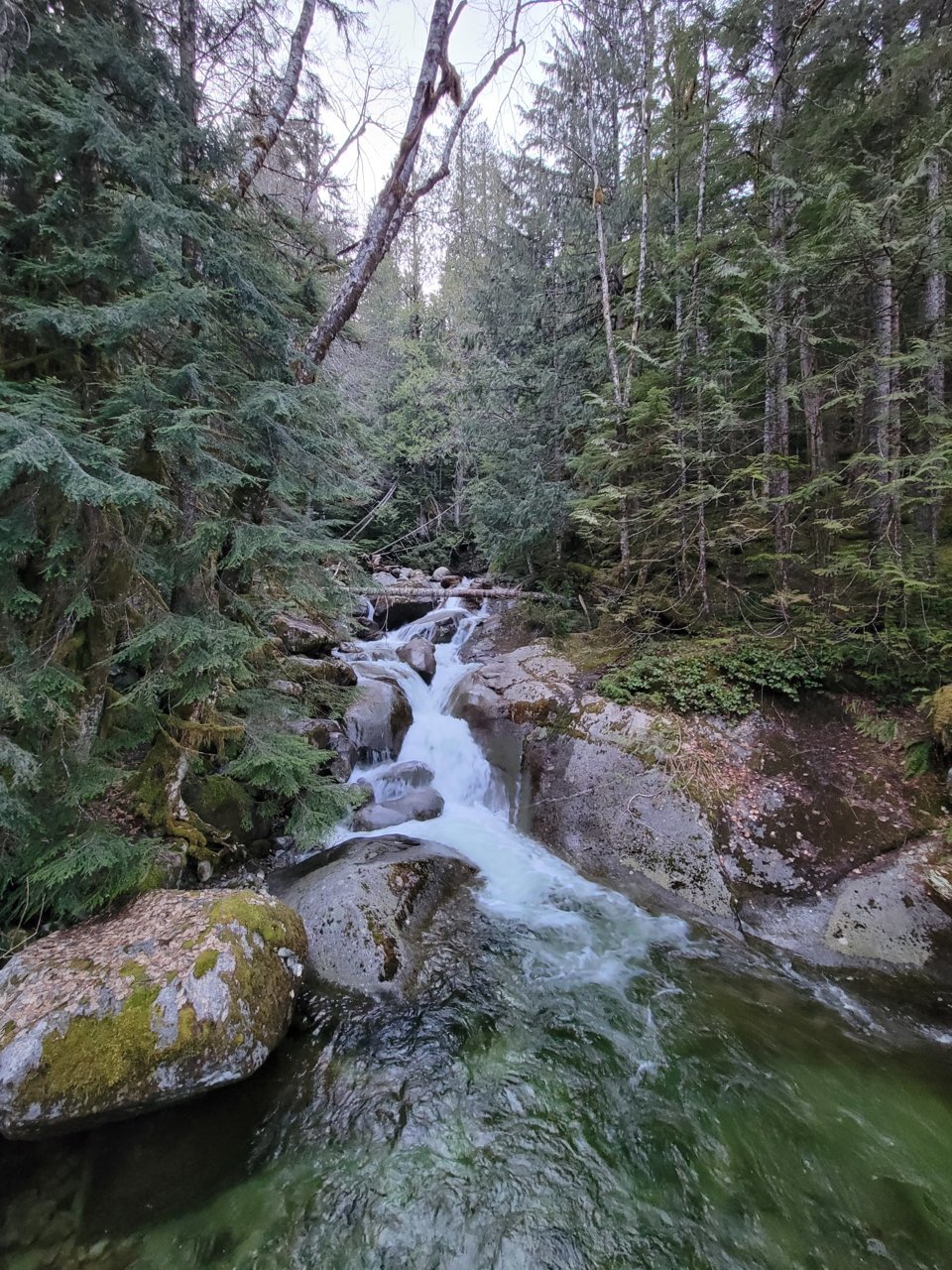 20230425_195507.jpg