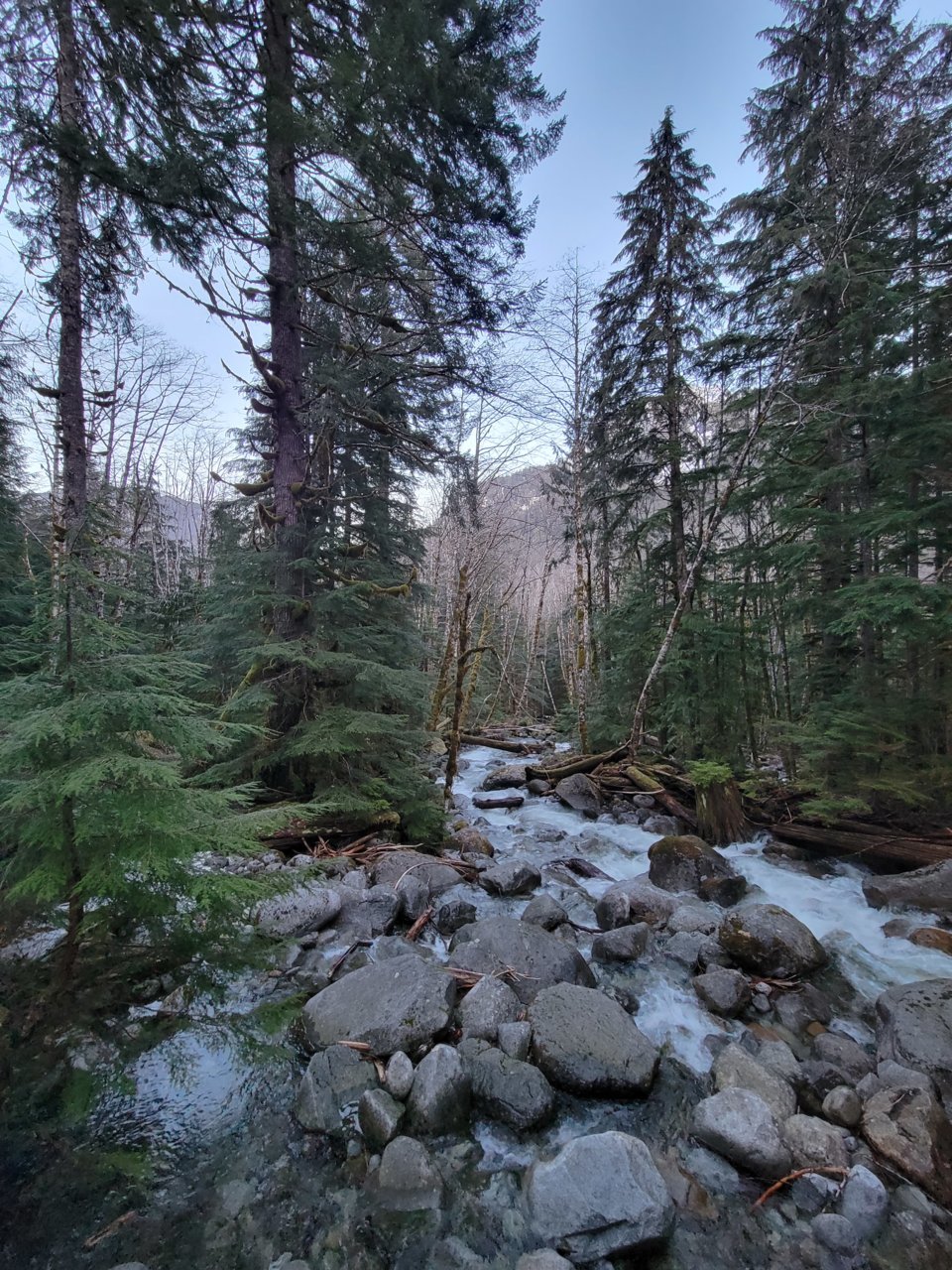 20230425_195524.jpg