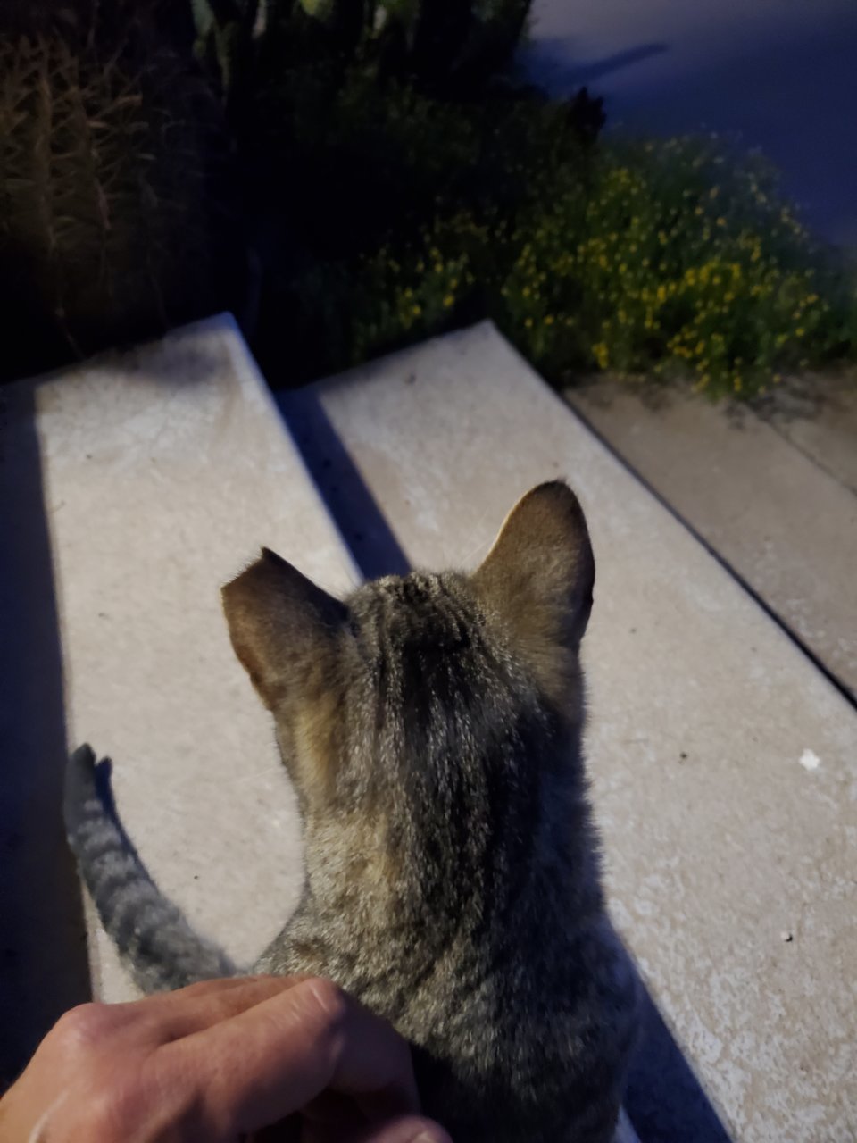 20230426_051345.jpg