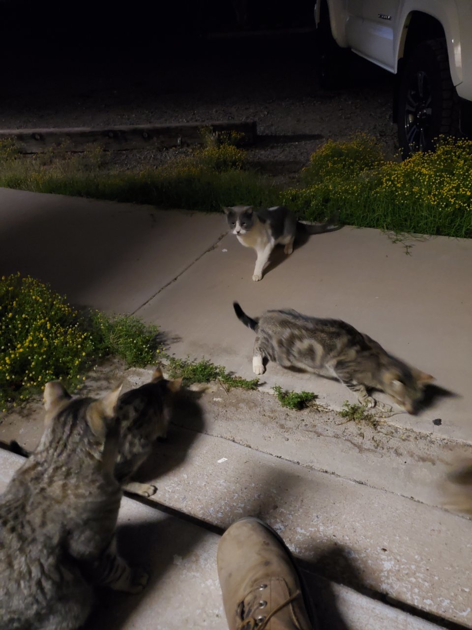 20230427_050049.jpg
