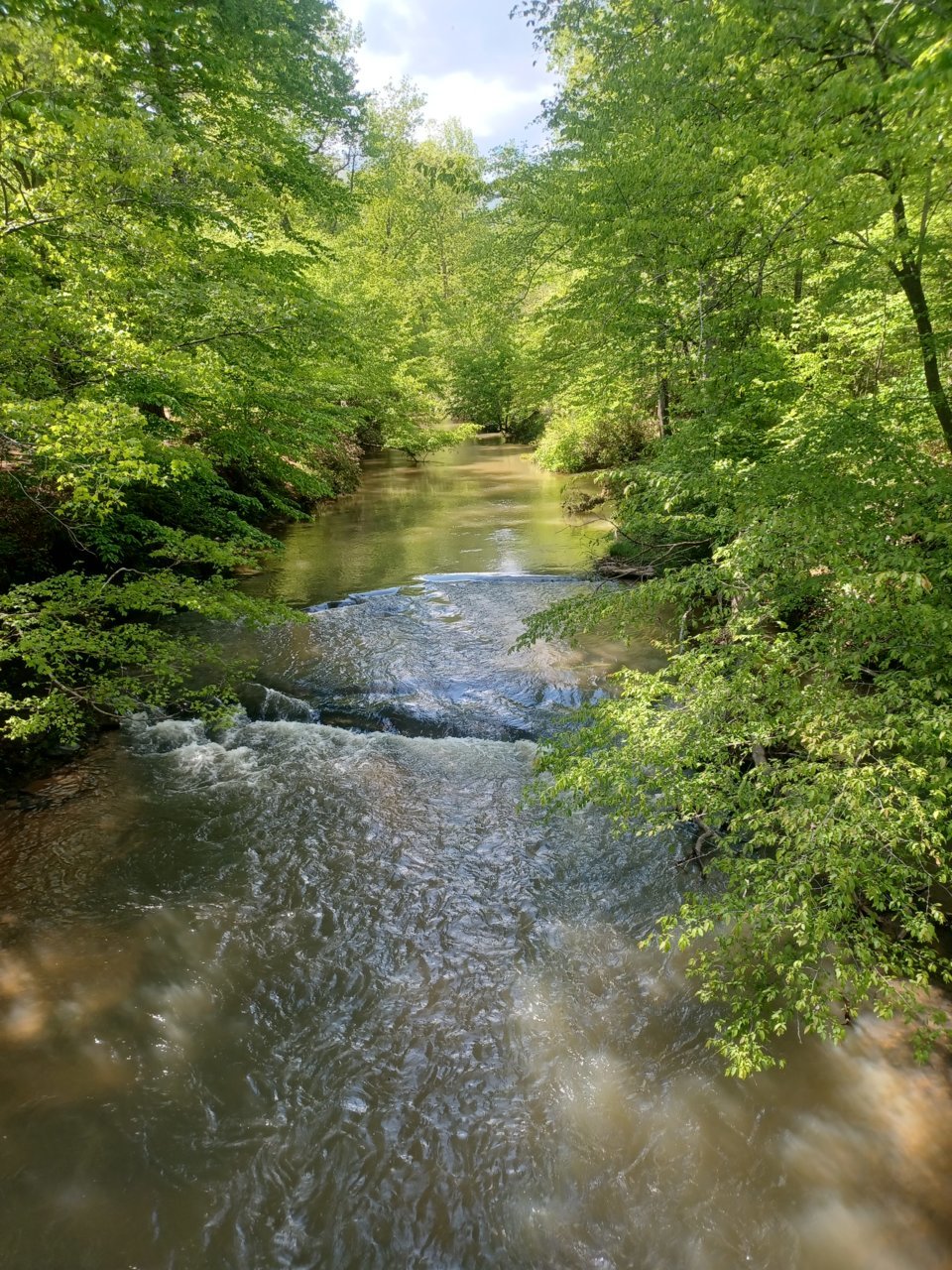 20230428_152929.jpg