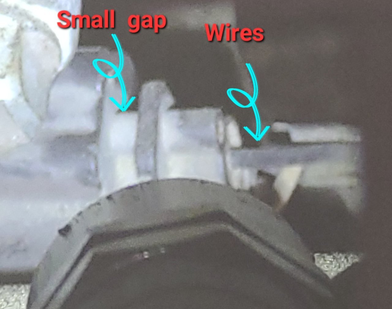 20230428_170239.jpg
