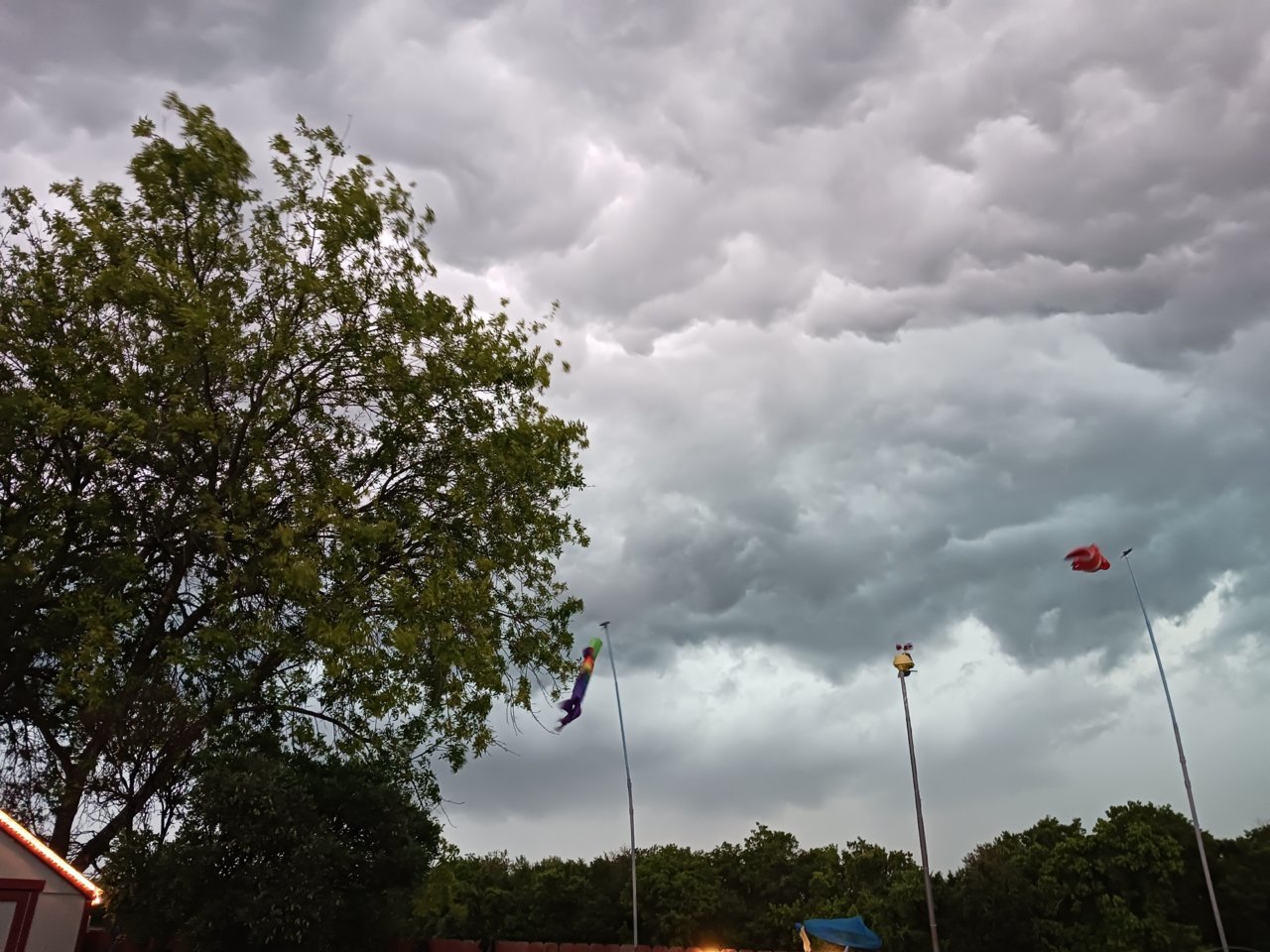 20230428_180856.jpg