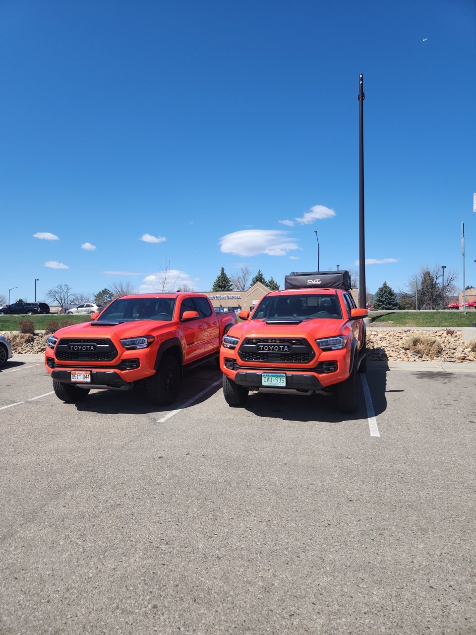 20230429_111005.jpg