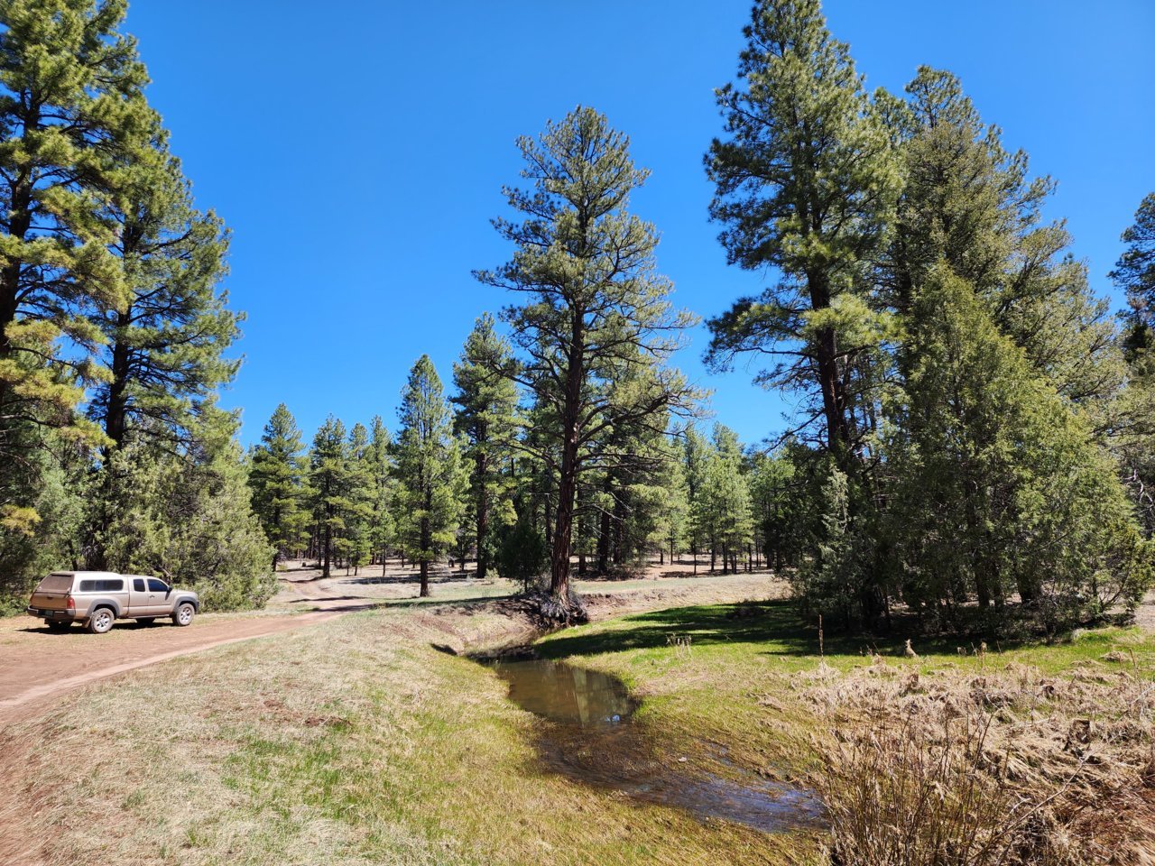 20230429_114008.jpg