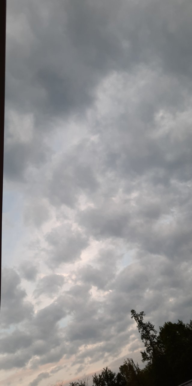 20230429_201849.jpg