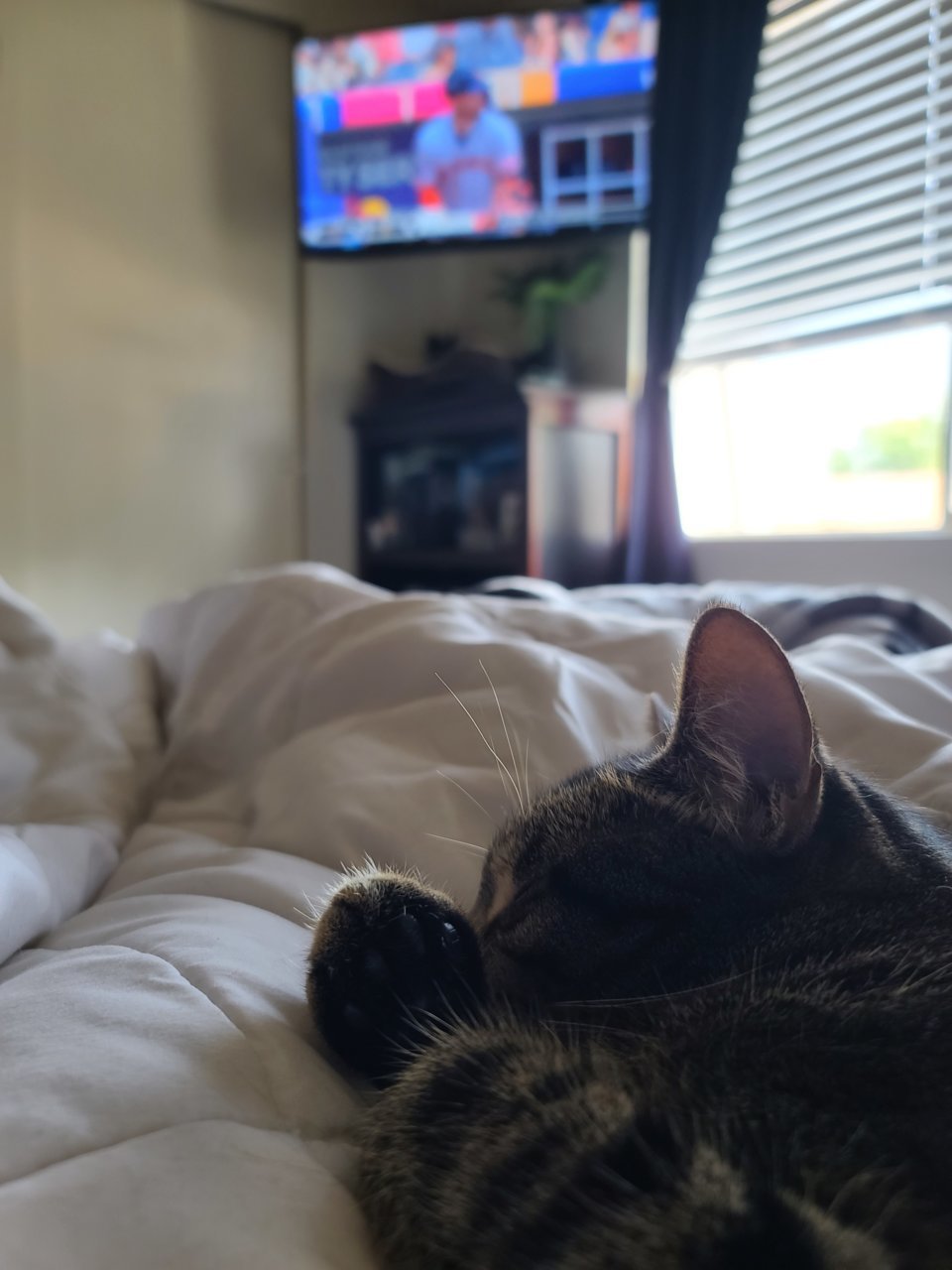 20230430_140207.jpg
