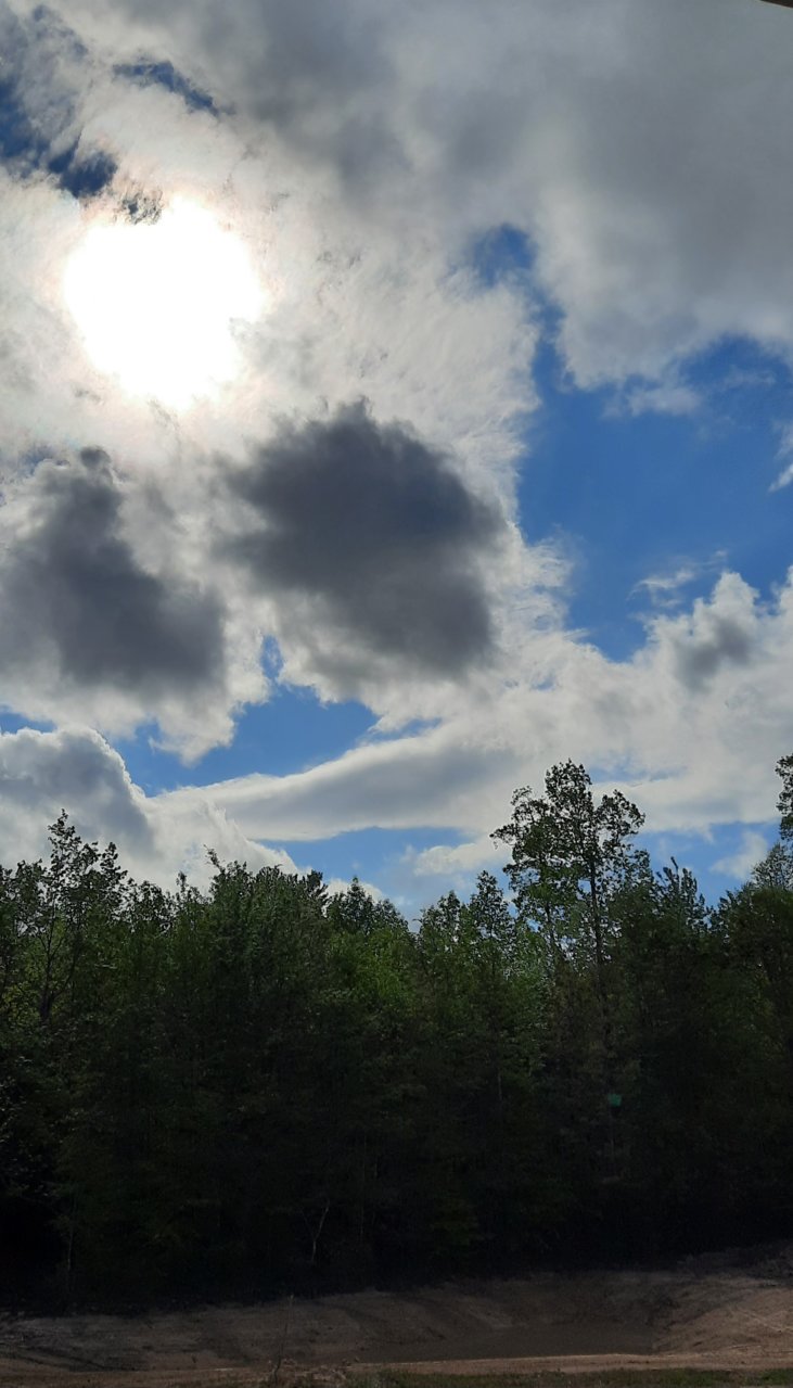 20230430_171534.jpg