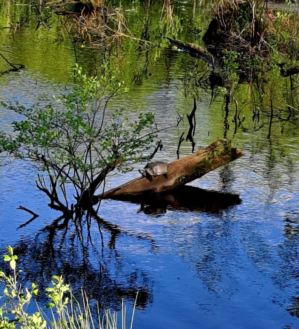 20230501_175050.jpg