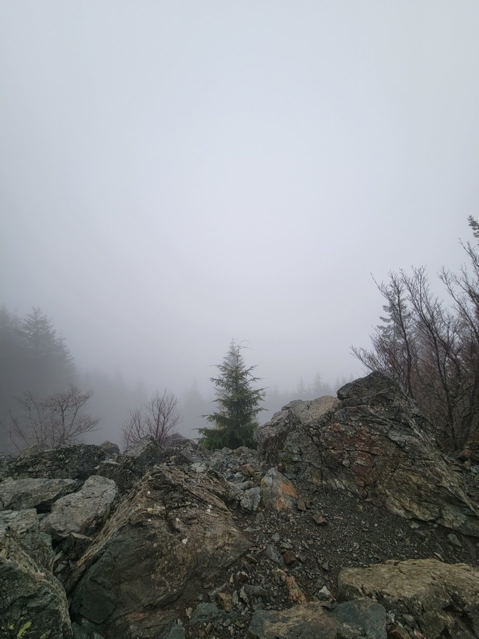 20230501_200251.jpg