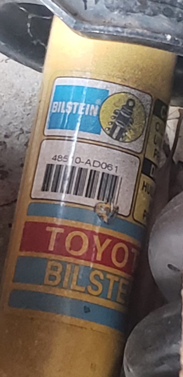 20230504_173105.jpg