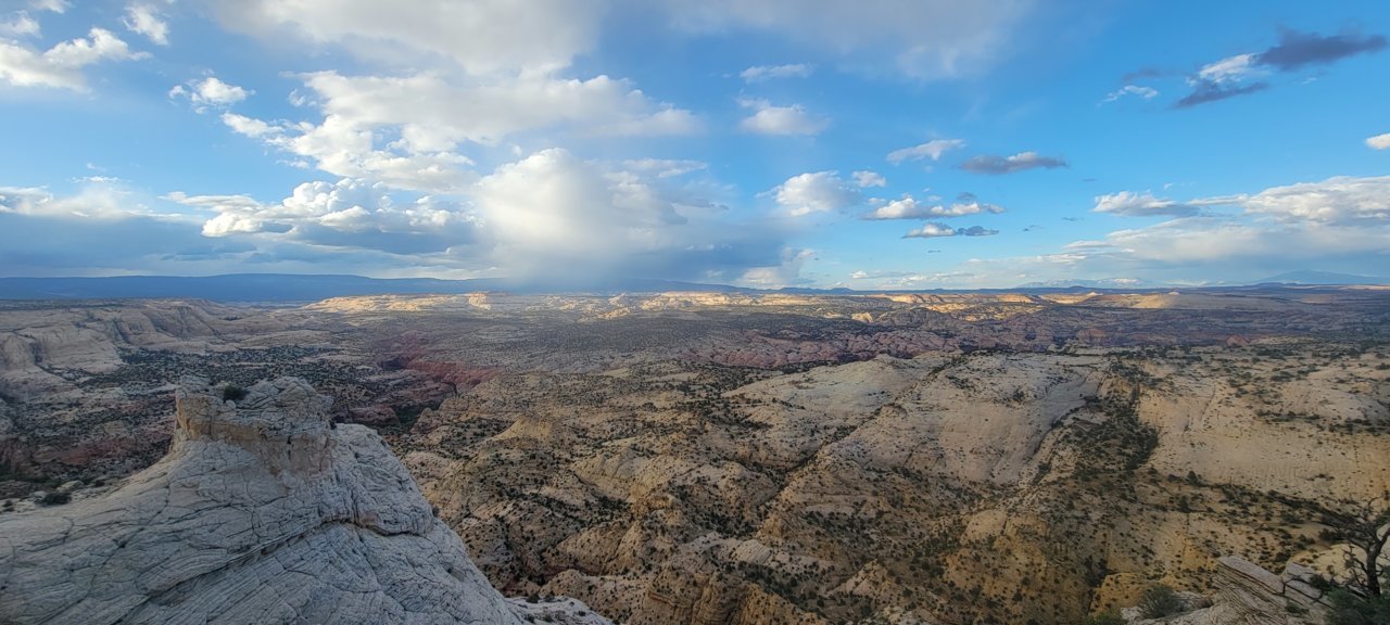 20230505_192242.jpg