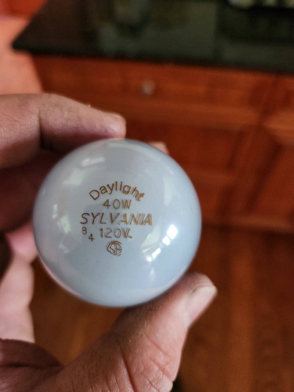 20230507_134539.jpg