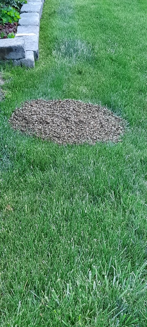 20230507_194849.jpg