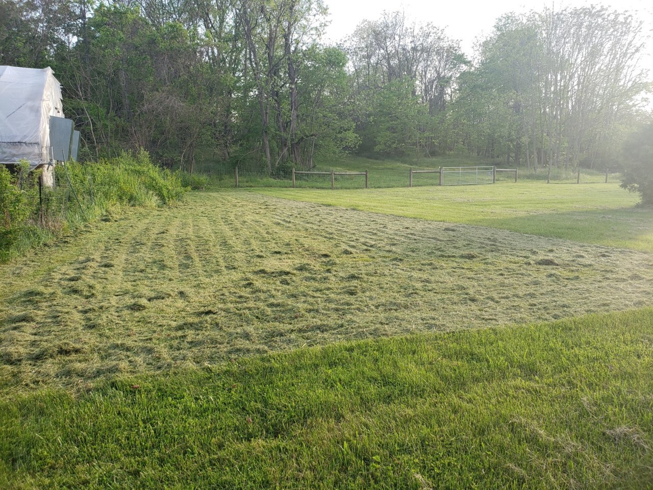 20230508_190723.jpg