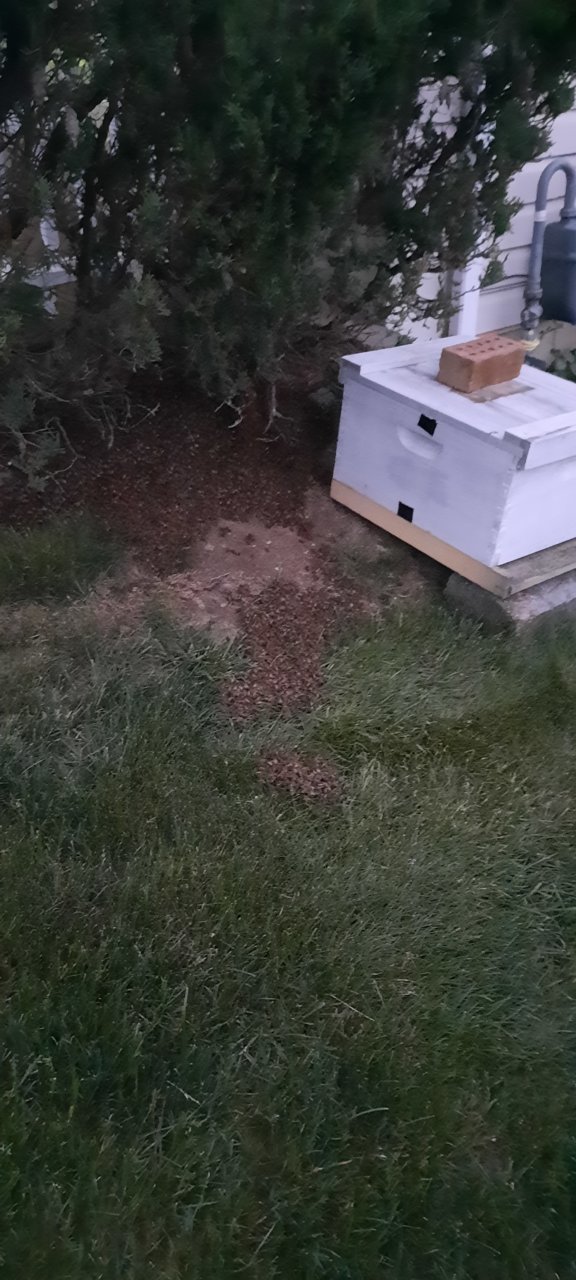 20230508_204105.jpg