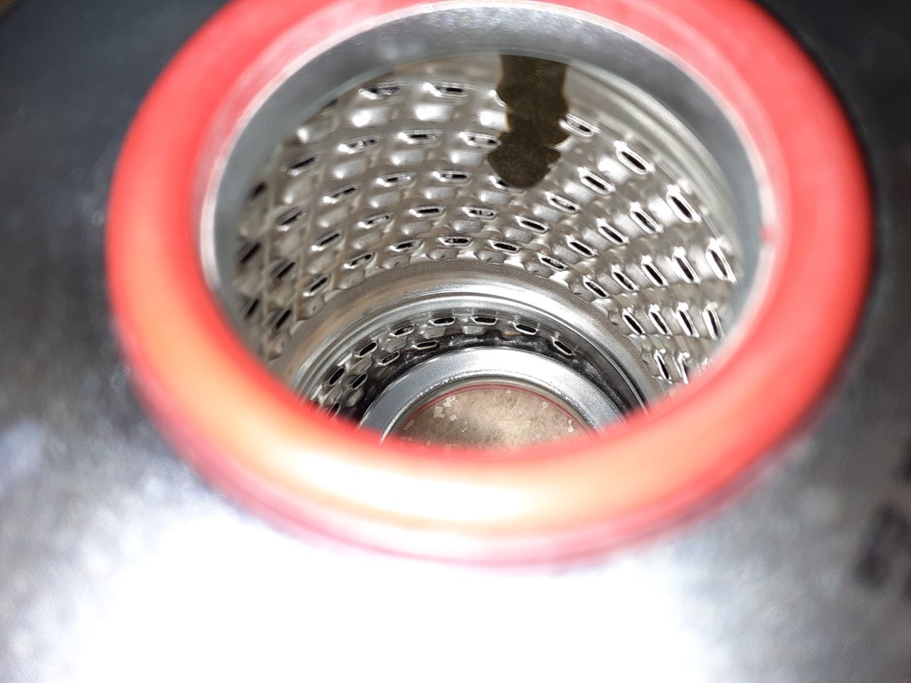 20230509_110456.jpg
