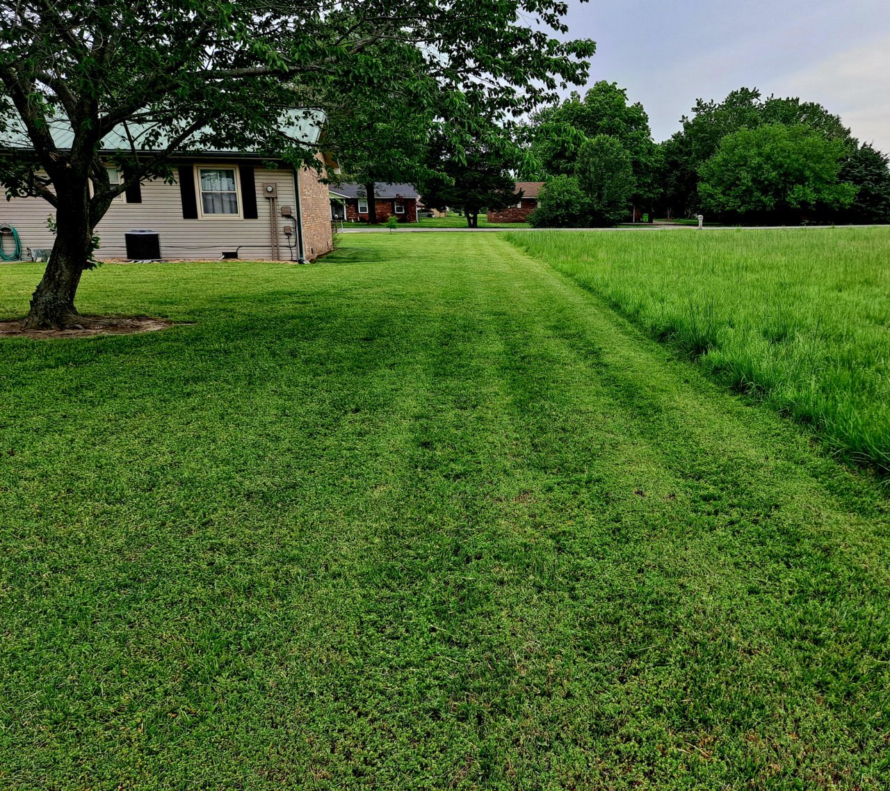 20230510_163724.jpg