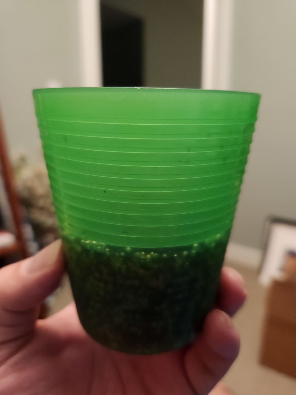20230511_215910.jpg