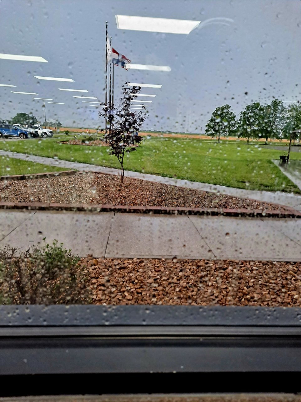 20230513_074439.jpg
