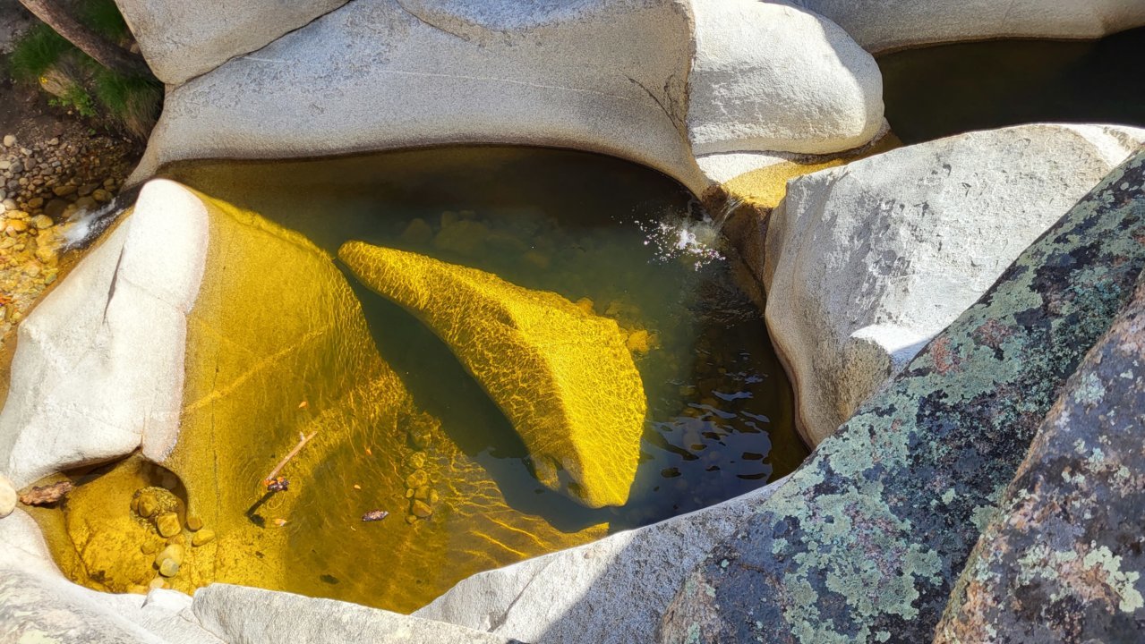 20230513_095511.jpg