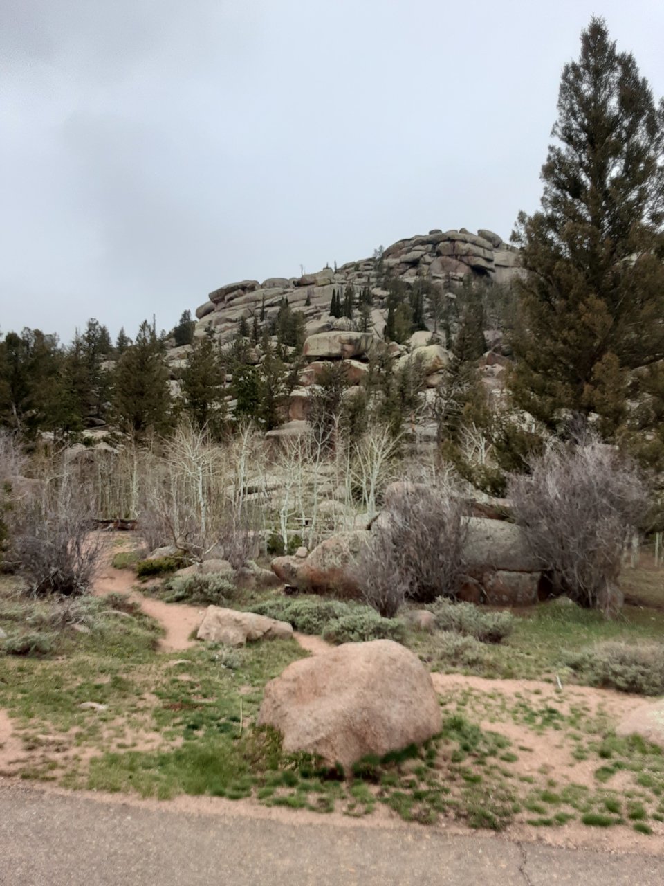 20230513_135921.jpg