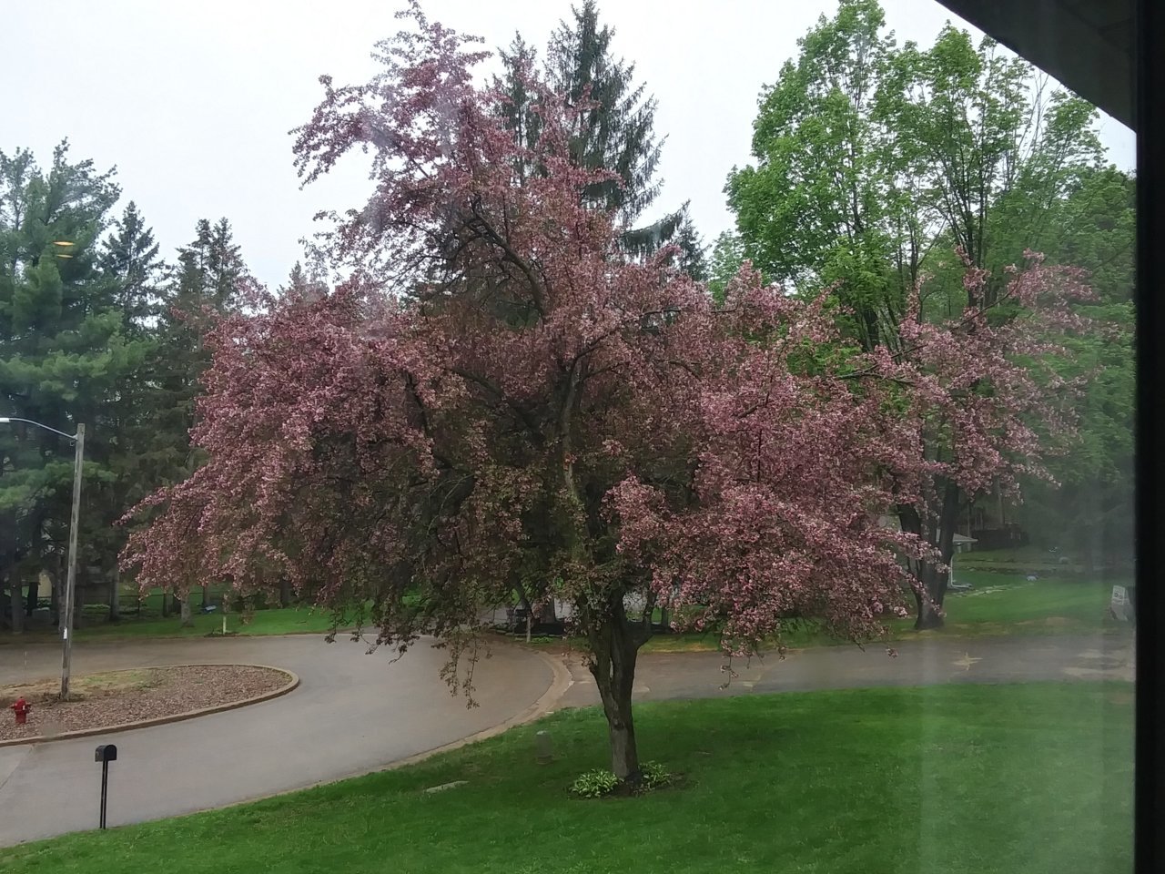 20230514_095146_HDR.jpg