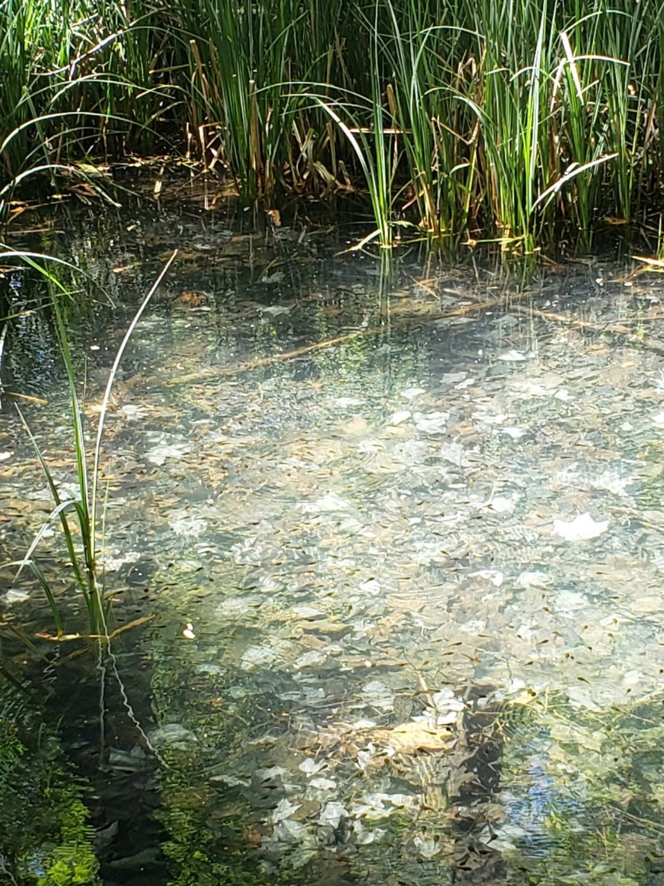 20230514_200046.jpg