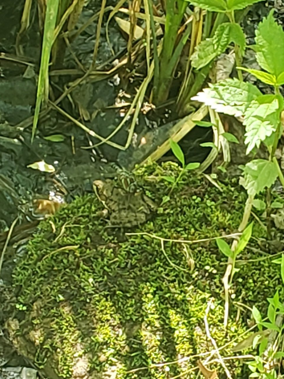 20230514_200108.jpg