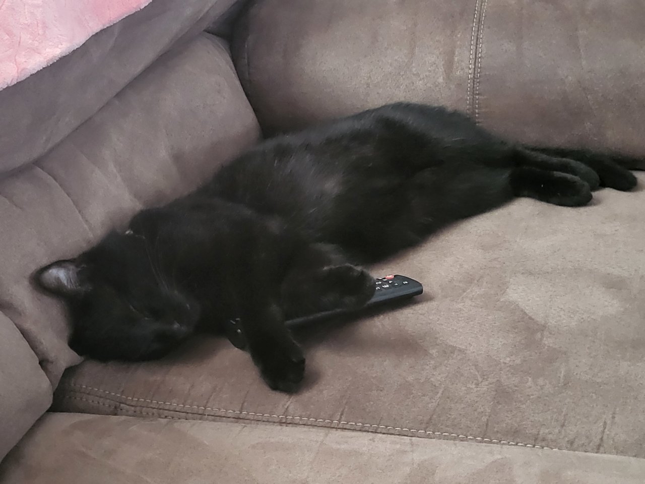 20230515_111003.jpg