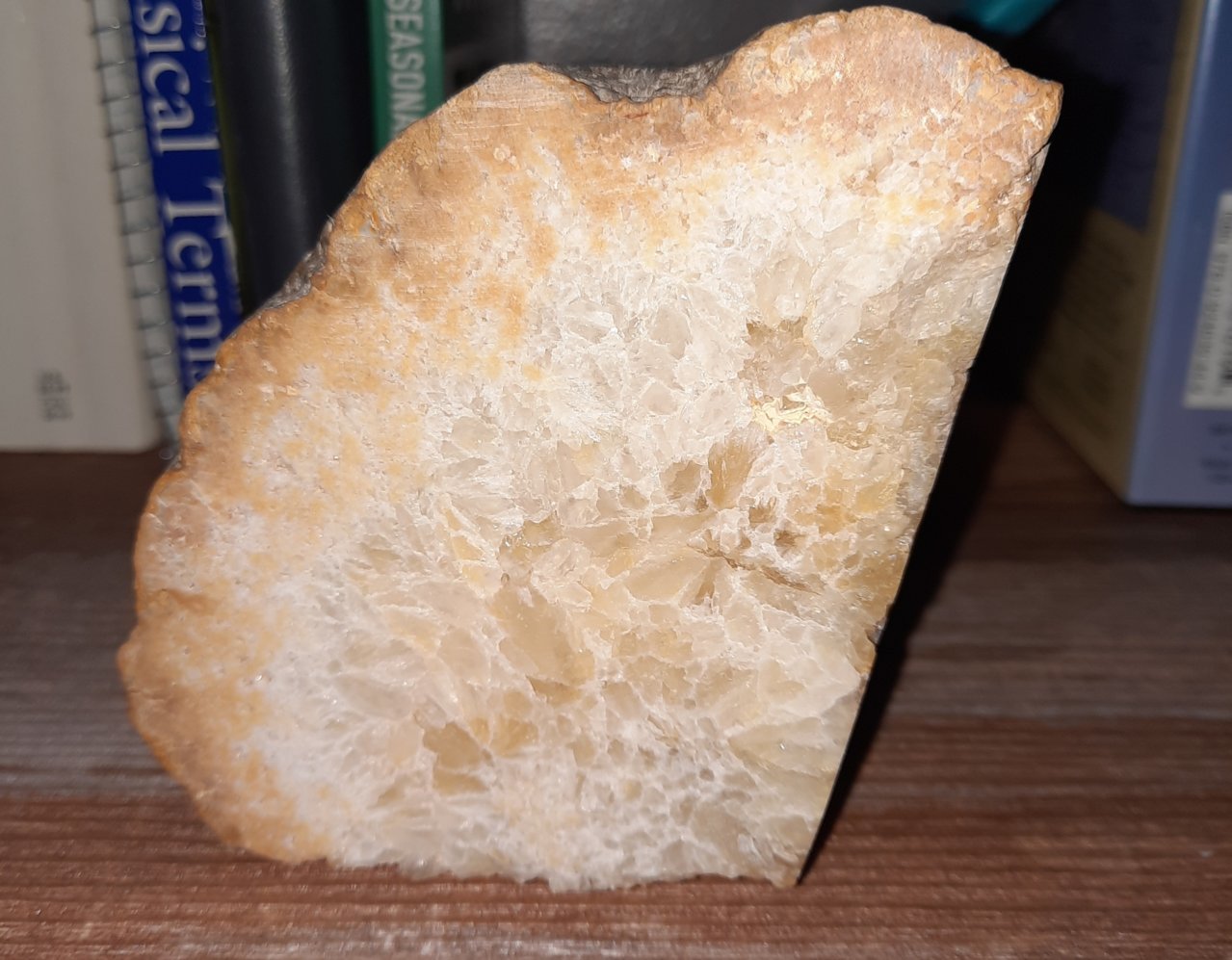 20230516_155005.jpg