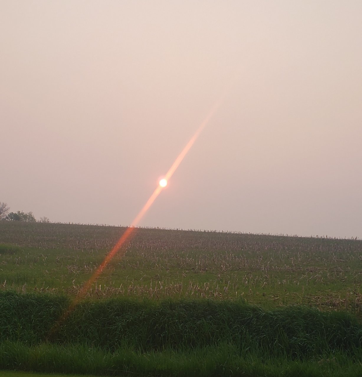 20230519_062811.jpg