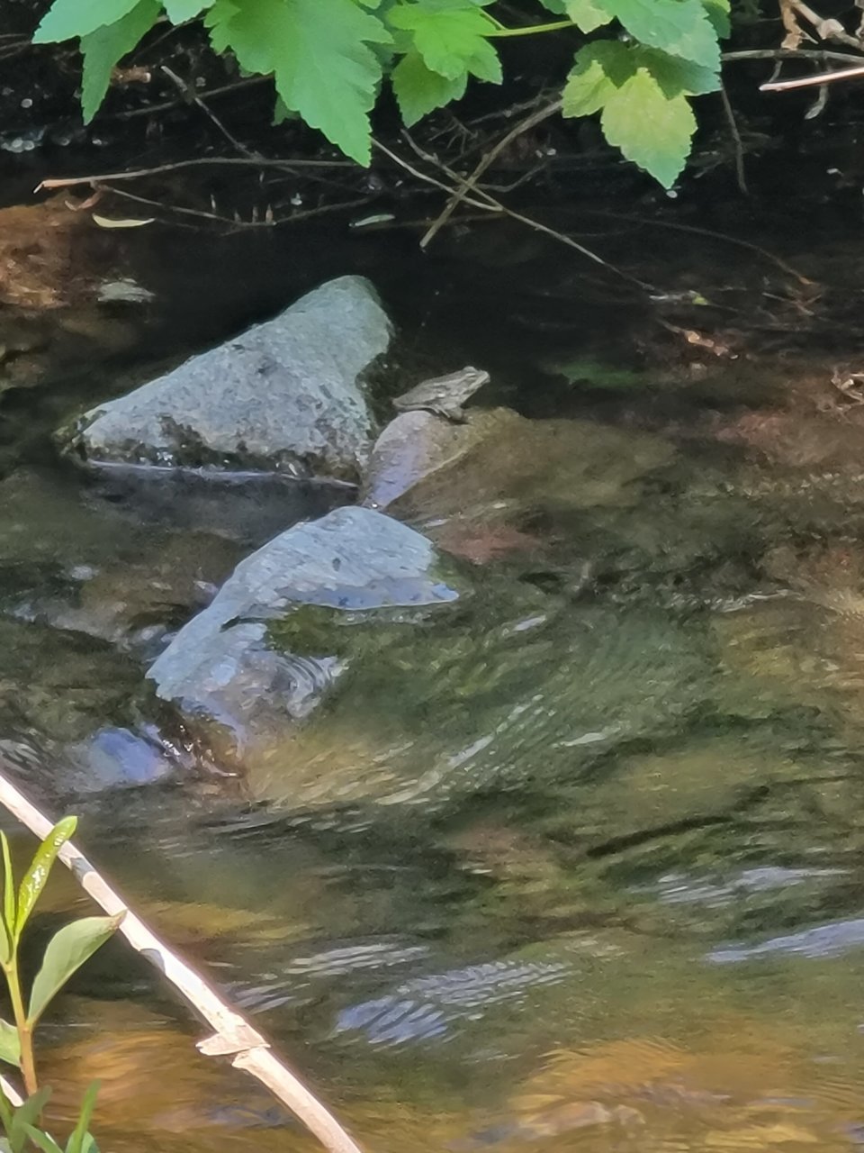 20230519_092643.jpg