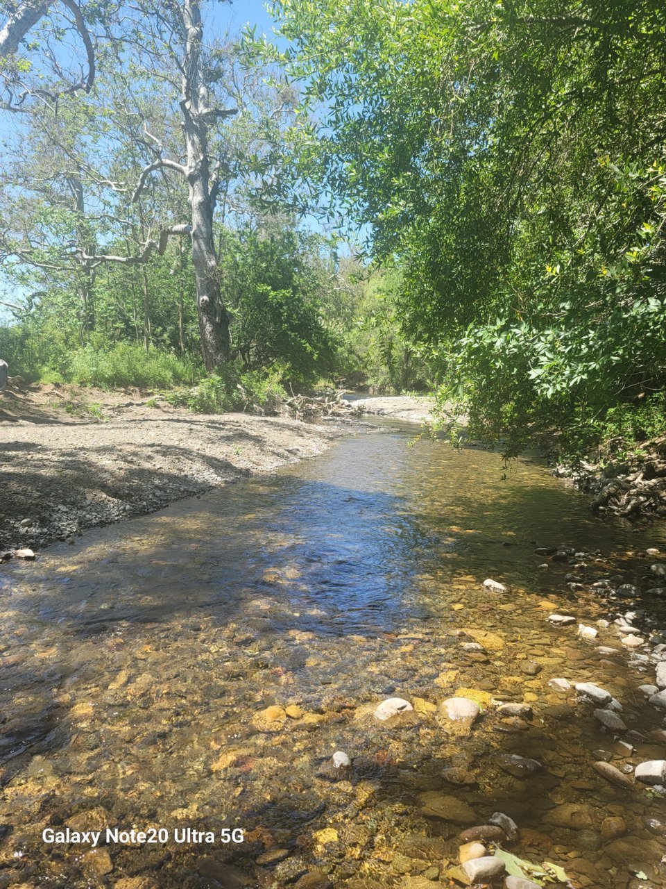 20230519_142433.jpg