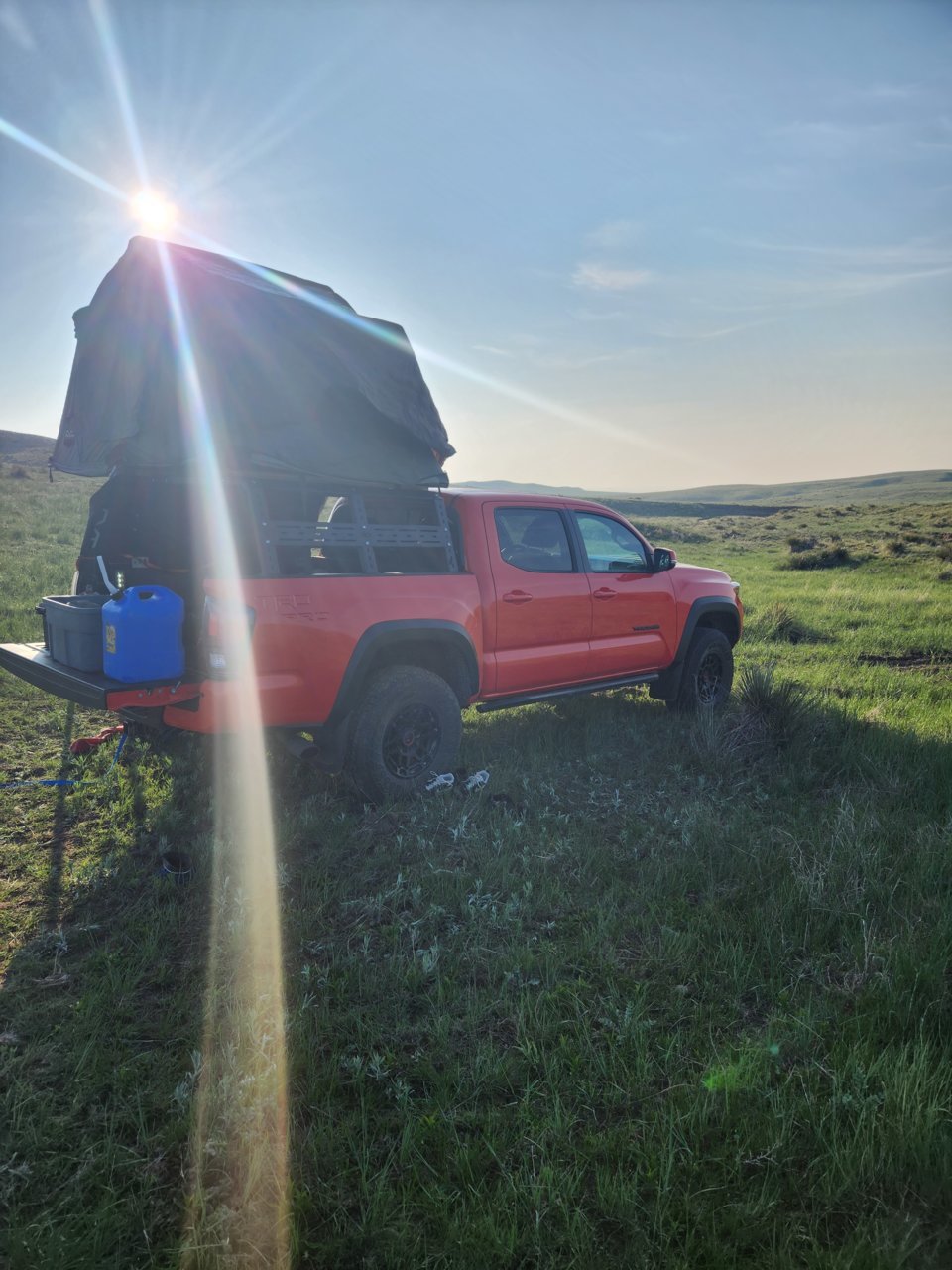 20230521_070456.jpg