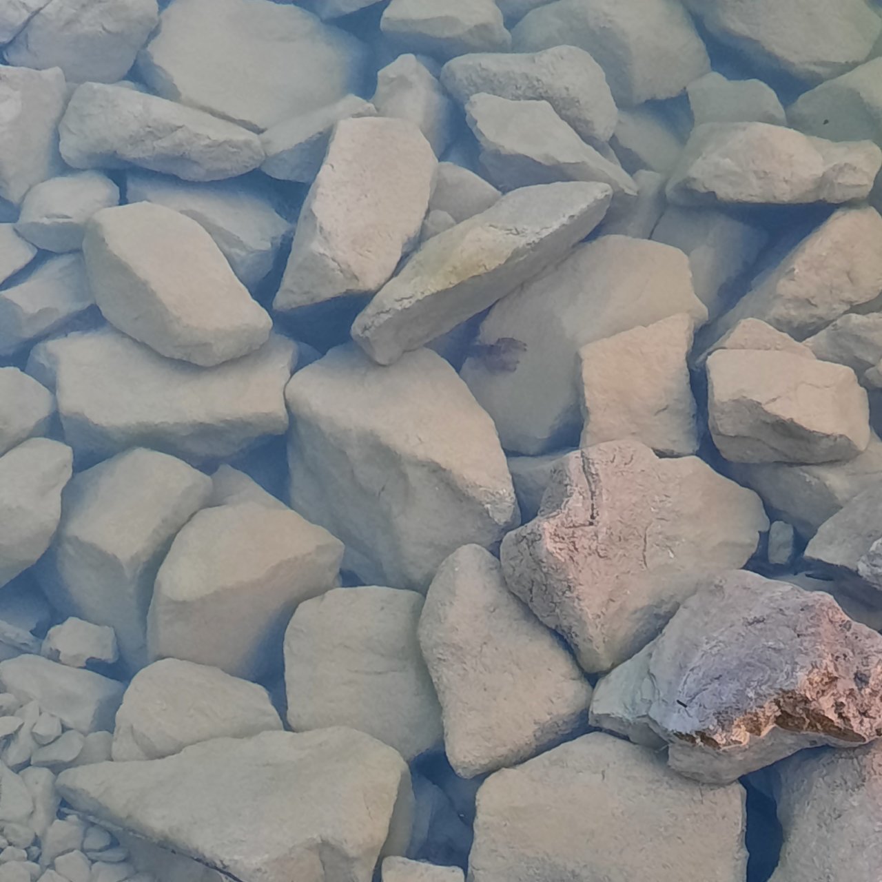 20230522_204528.jpg