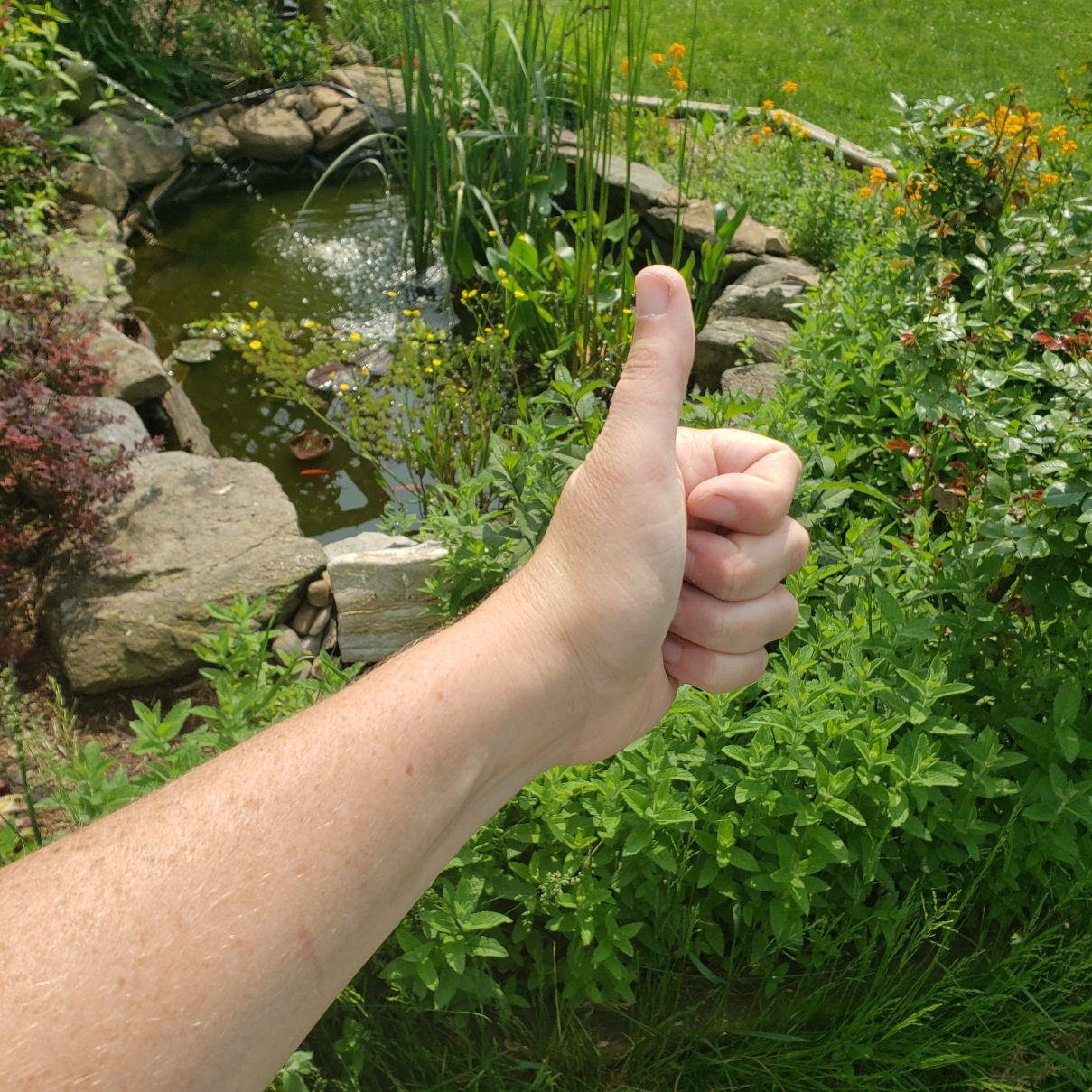 20230523_152235.jpg
