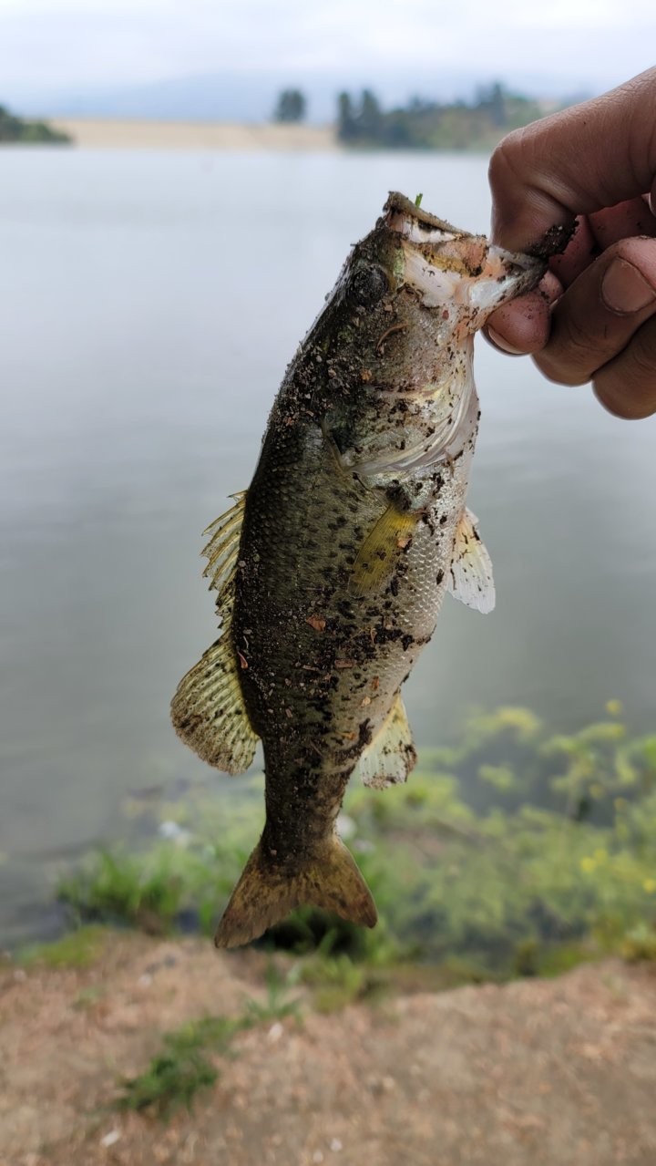 20230524_131020.jpg