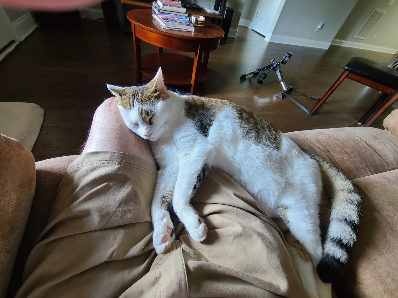 20230524_131407.jpg