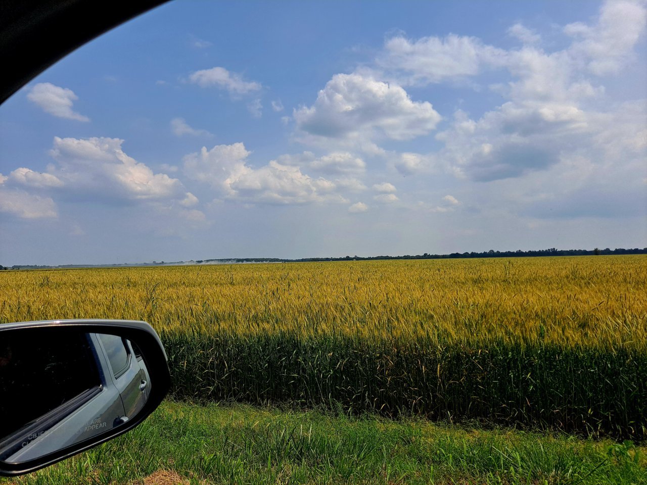 20230524_151148.jpg