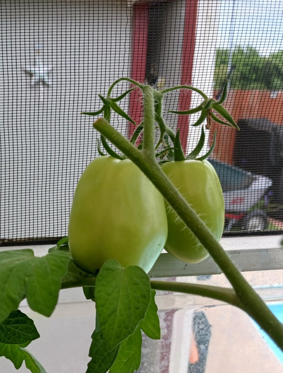 20230525_145538.jpg