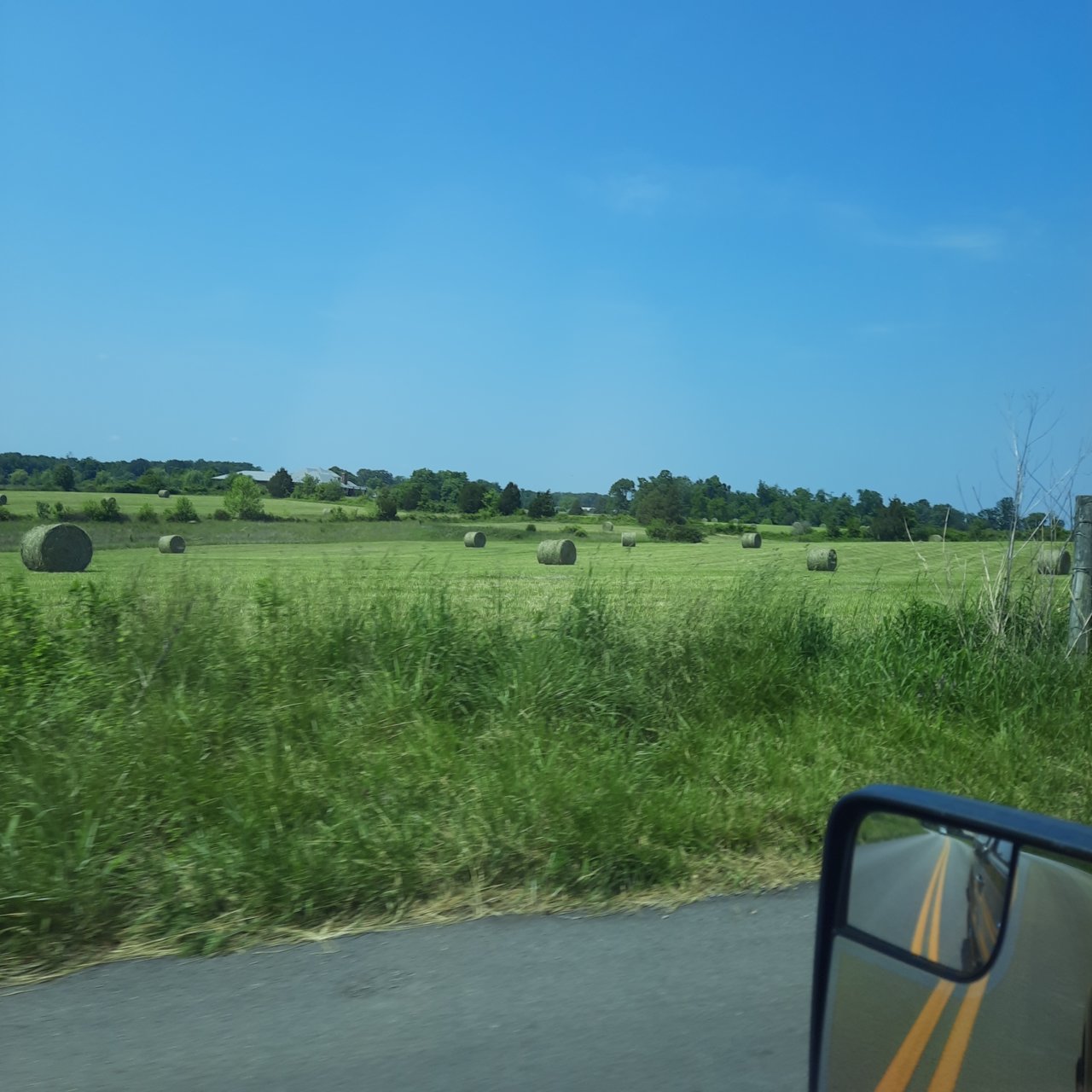 20230525_152904.jpg