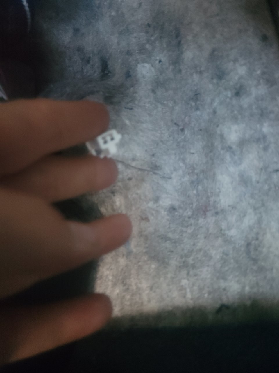 20230526_183115.jpg